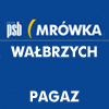 Mrówka Wałbrzych